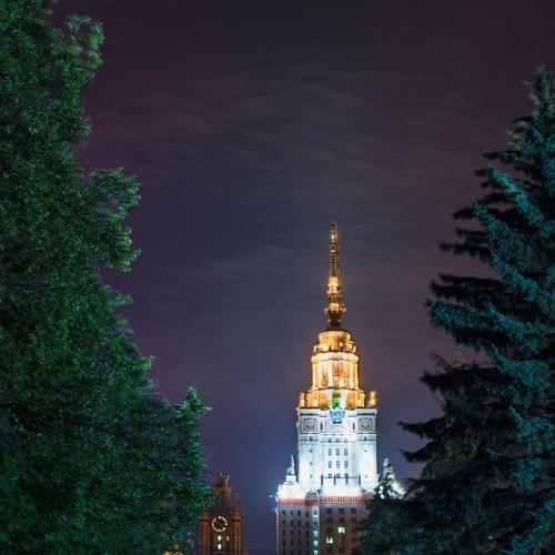 Photo #4040858