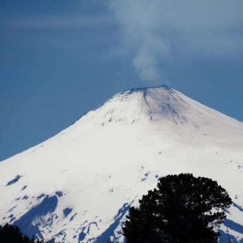 Photo #4040922