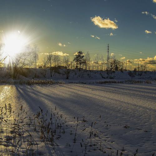Photo #4040932