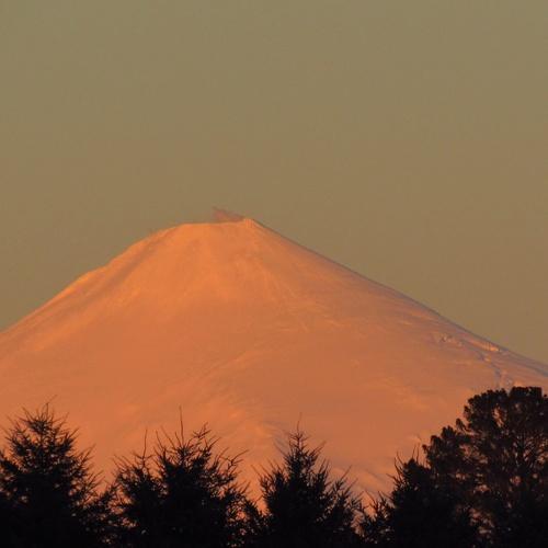 Photo #4040949