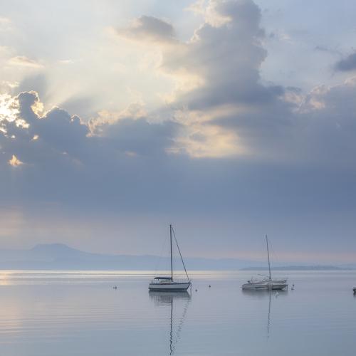 Photo #4041287