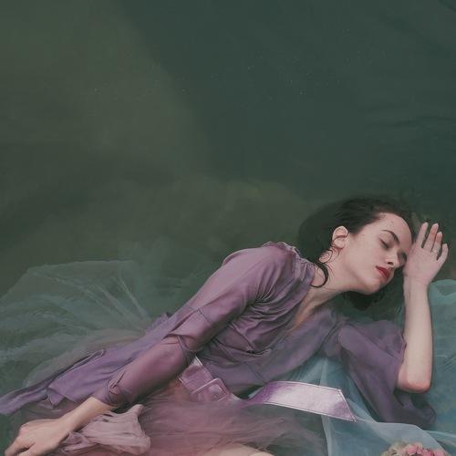 Photo #4041362
