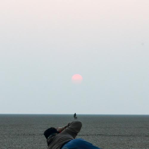 The wildlife photographer