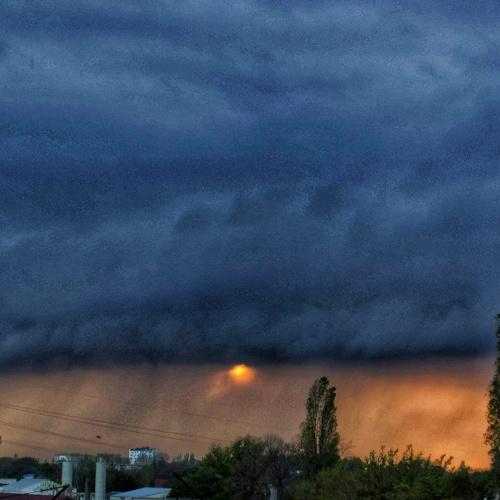 Photo #4041764