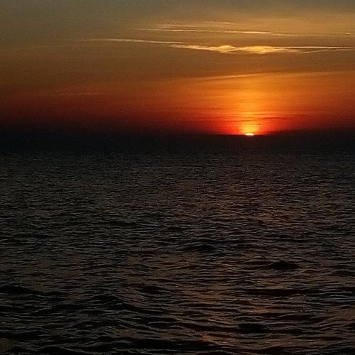 Photo #4041767