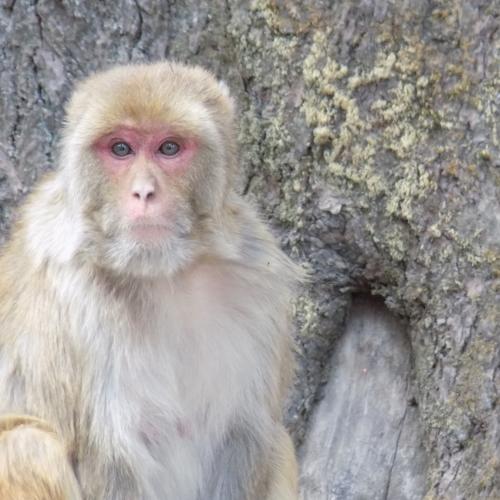 Photo #4042068