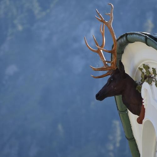 Photo #4042811