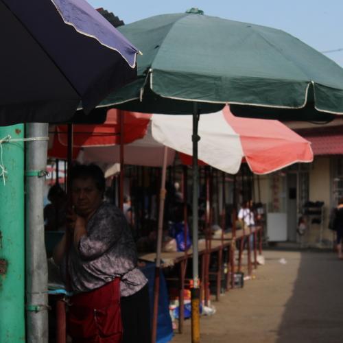Photo #4043020