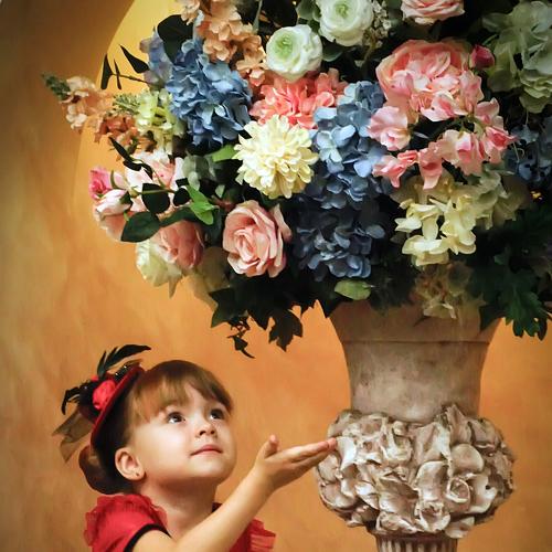 Photo #4043026
