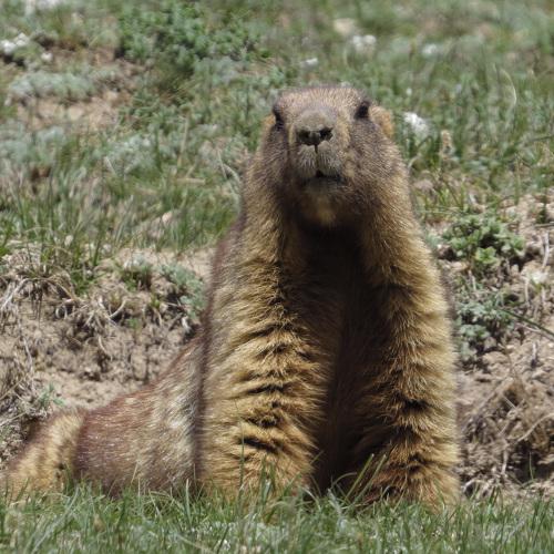 Photo #4043088