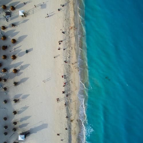 Photo #4043580