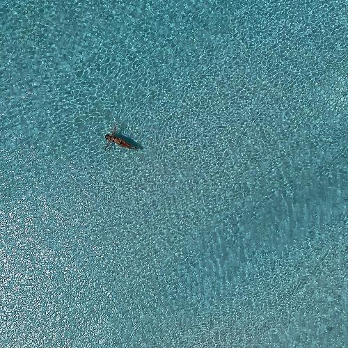 Photo #4043581