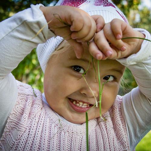 Photo #4043746