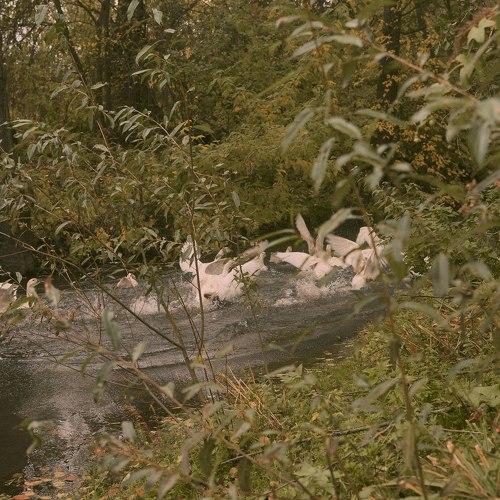 Photo #4043989