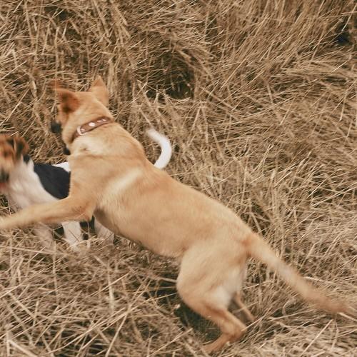 Photo #4043990