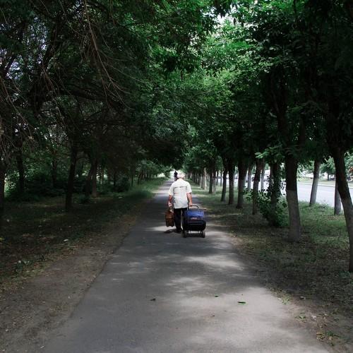 Photo #4043994