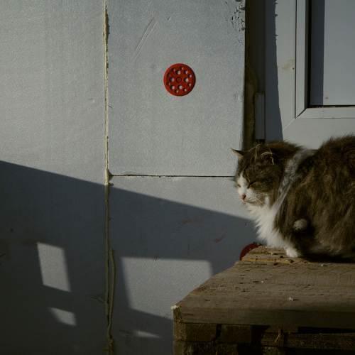 Photo #4044002
