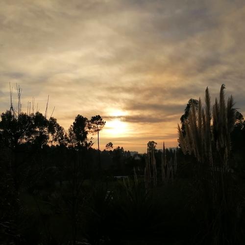 Photo #4044054