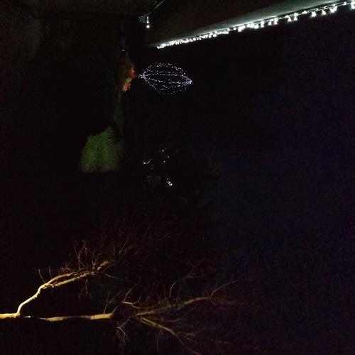 Photo #4044101