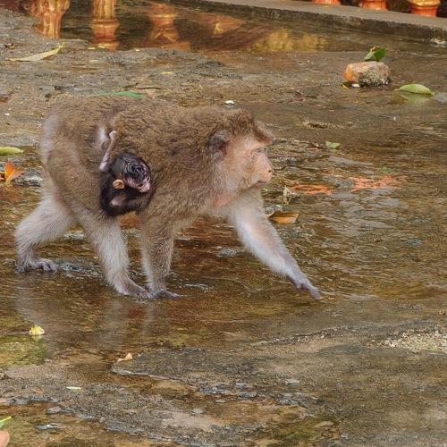 Photo #4044197