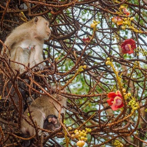 Photo #4044198