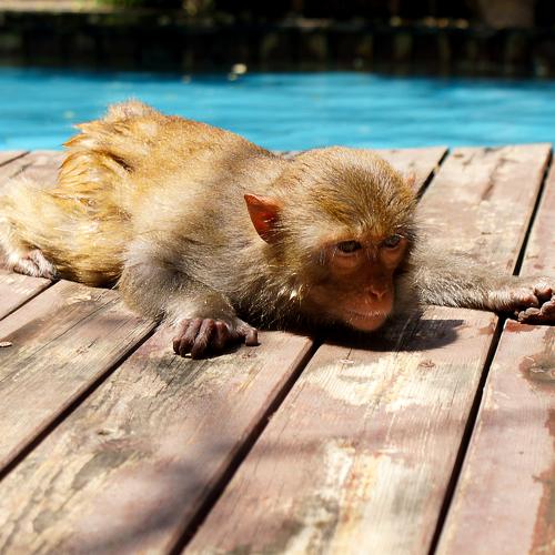 Photo #4044239