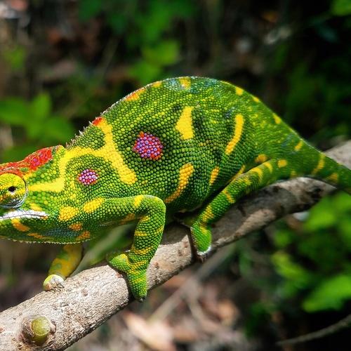 Photo #4044406