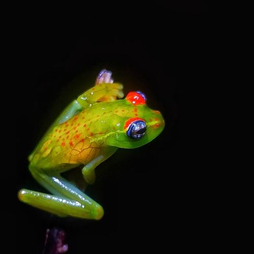 Photo #4044407
