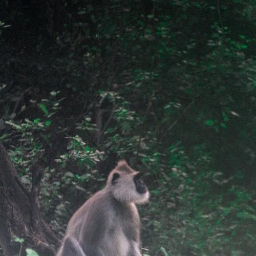 Photo #4044413