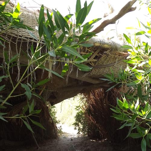 Photo #4044610