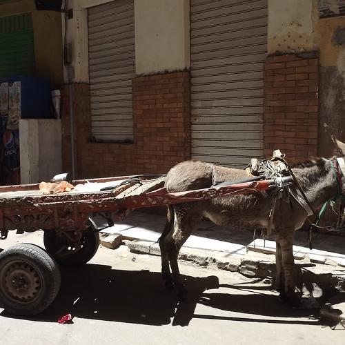 Photo #4044611