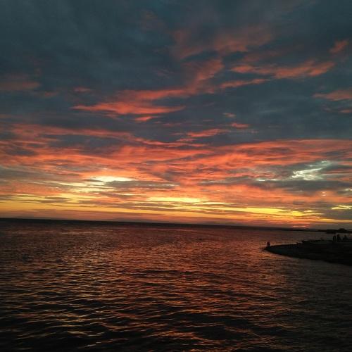 Photo #4044740