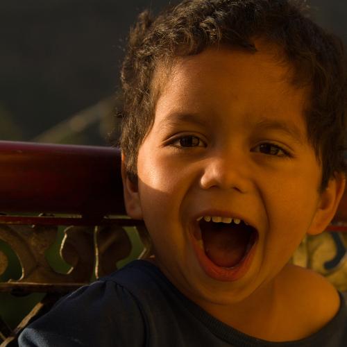 Photo #4044873