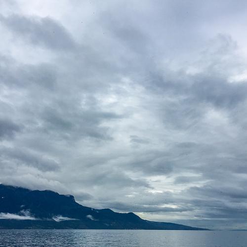Photo #4044963
