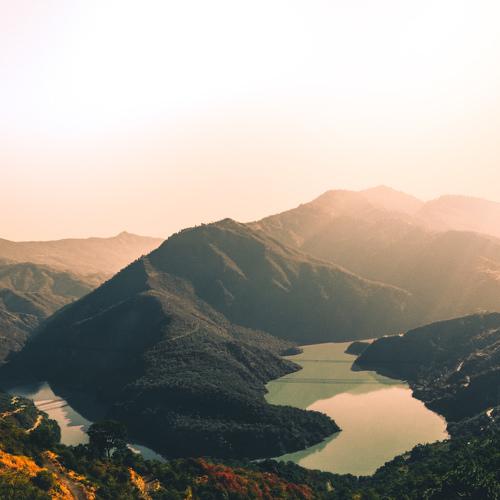Photo #4044972