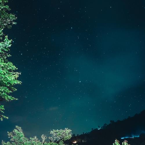 Photo #4045022