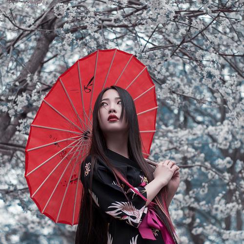 Photo #4045374