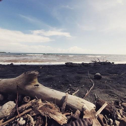 Photo #4045391