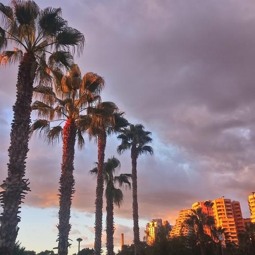 Photo #4045445