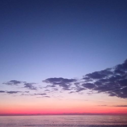 Photo #4045450