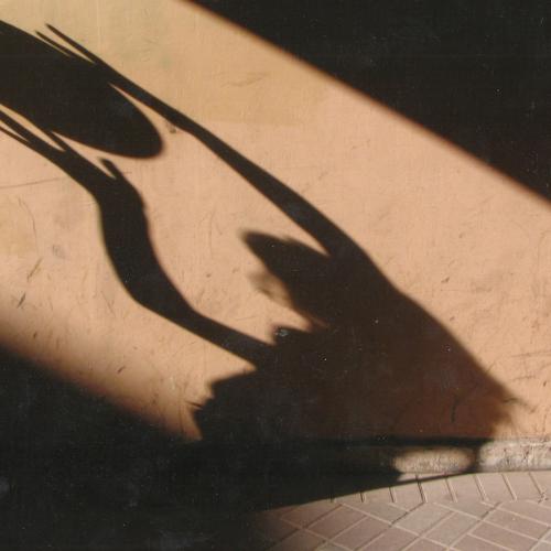 Photo #4045566