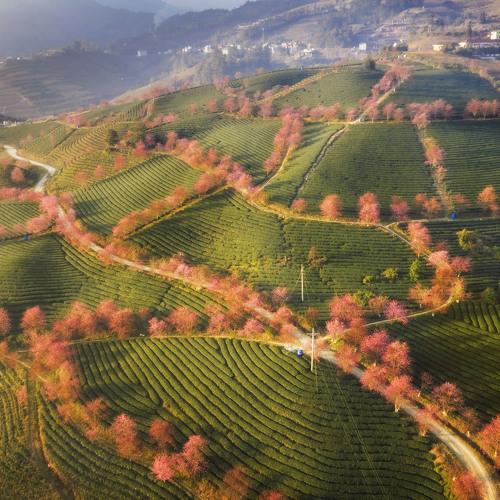 Фотография #4045872