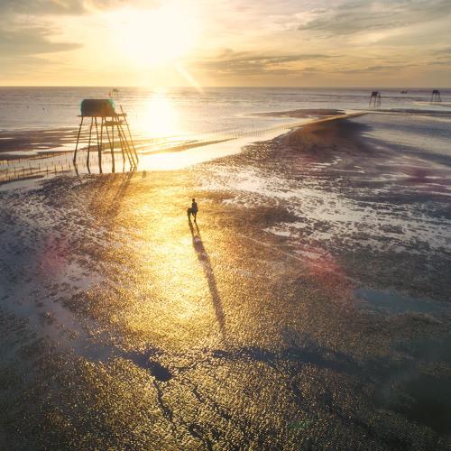 Фотография #4045873