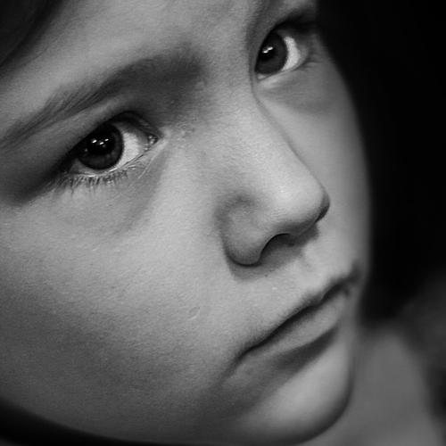 Photo #4045979