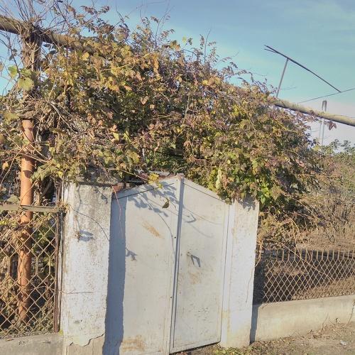 Photo #4046310