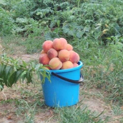 Photo #4046335