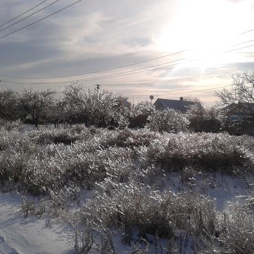 Photo #4046365