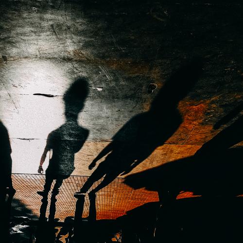 Photo #4046424
