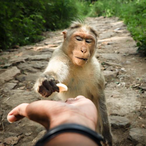 Photo #4046454