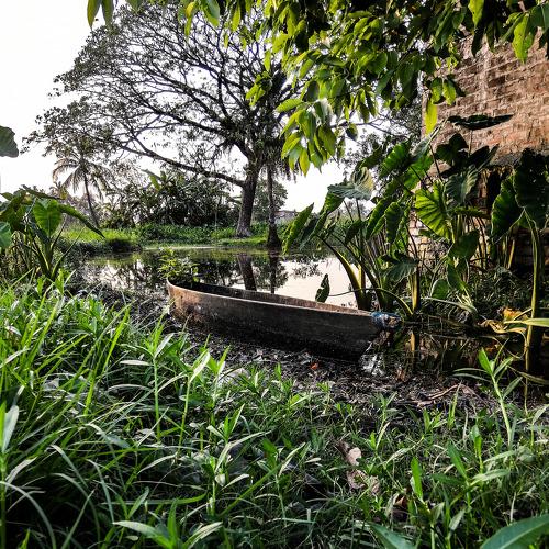 Photo #4046835